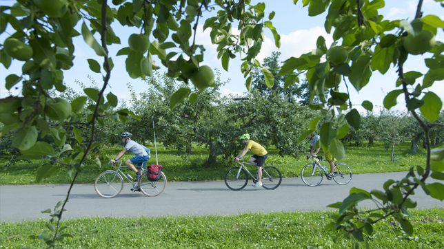 Cycling