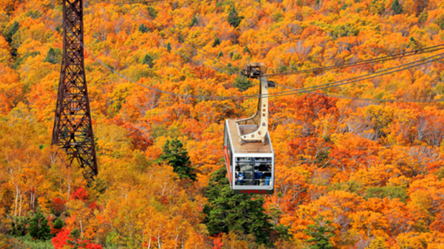 Hakkoda Ropeway Autumn