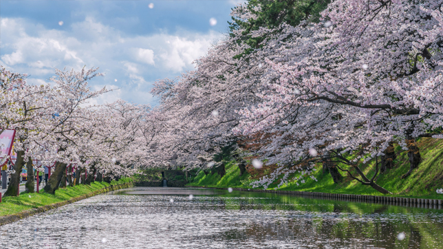 Hirosaki Park