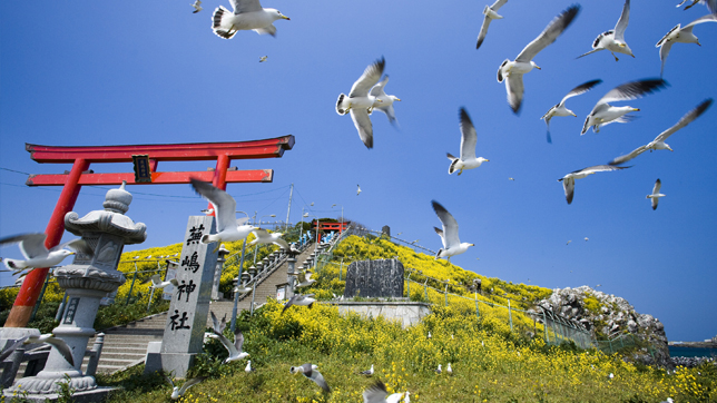 Kabushima Island