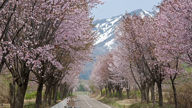 Mount Iwaki